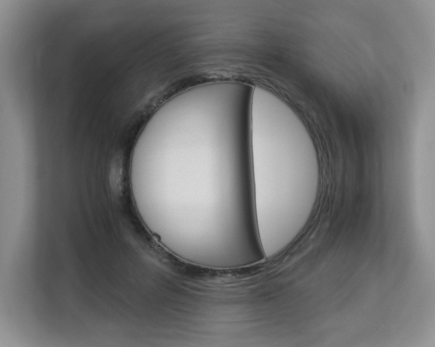 X0000112900600200908211052