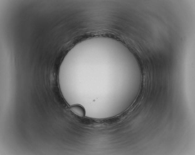 X0000112900608200908211052