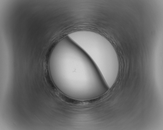 X0000112900609200908211052