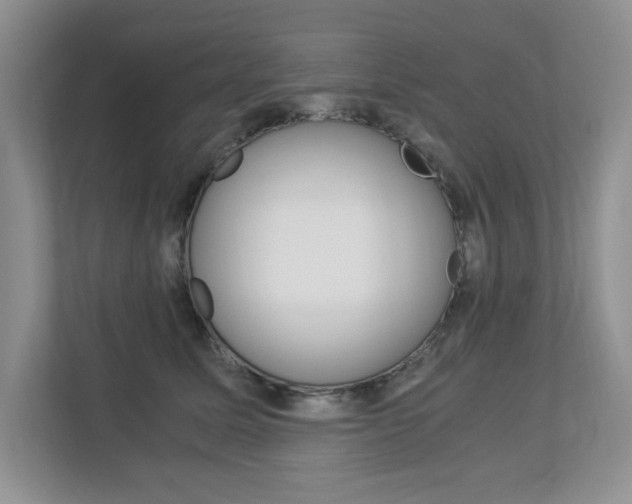 X0000112900611200908211051