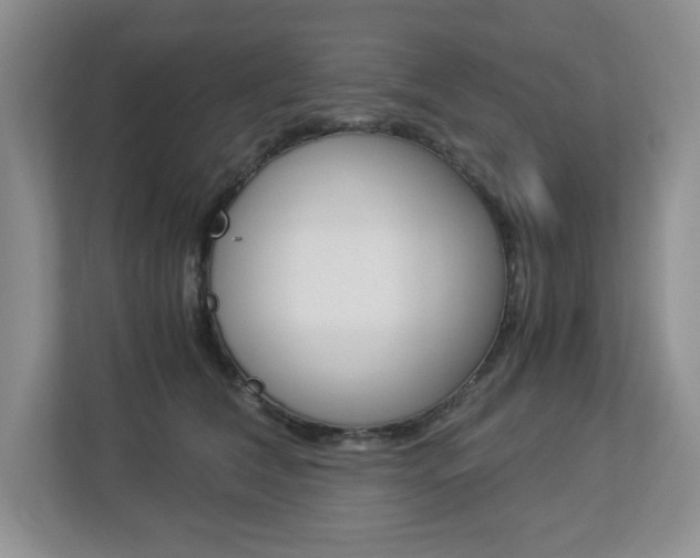 X0000112900612200908211051