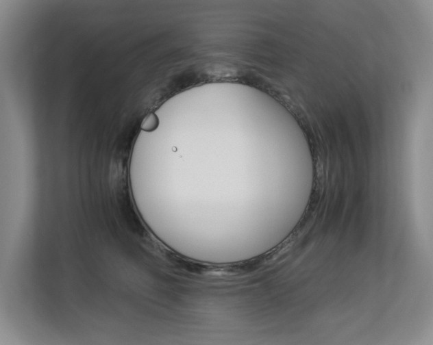 X0000112900614200908211051