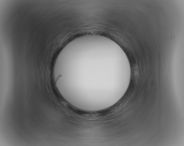X0000112900615200908211051