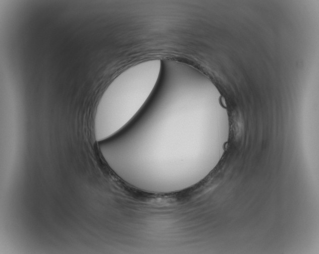 X0000112900619200908211051