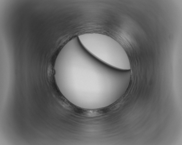 X0000112900623200908211051