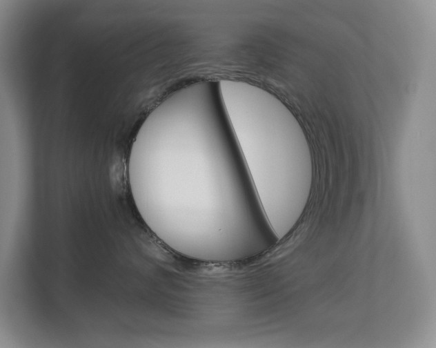 X0000112900624200908211051