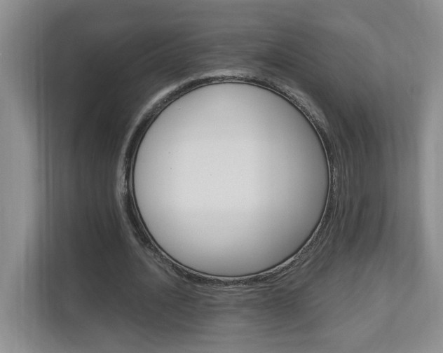 X0000112900628200908211051