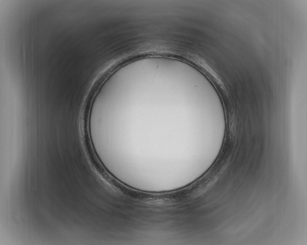 X0000112900629200908211051