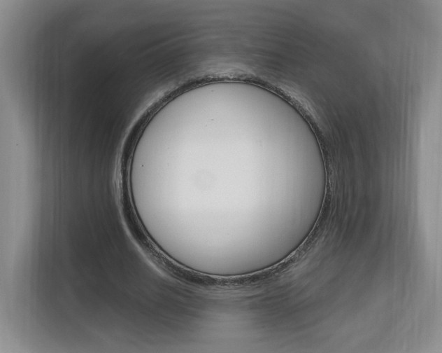X0000112900630200908211051