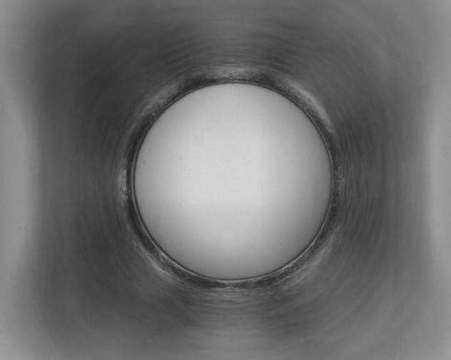 X0000112900633200908211051