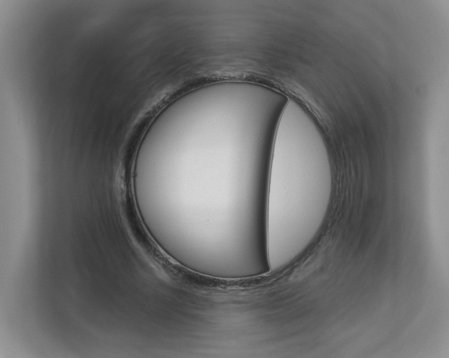 X0000112900634200908211051