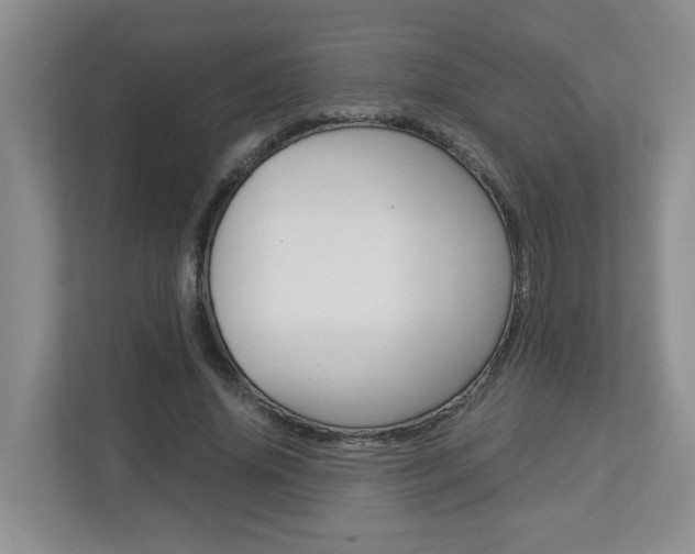 X0000112900636200908211051