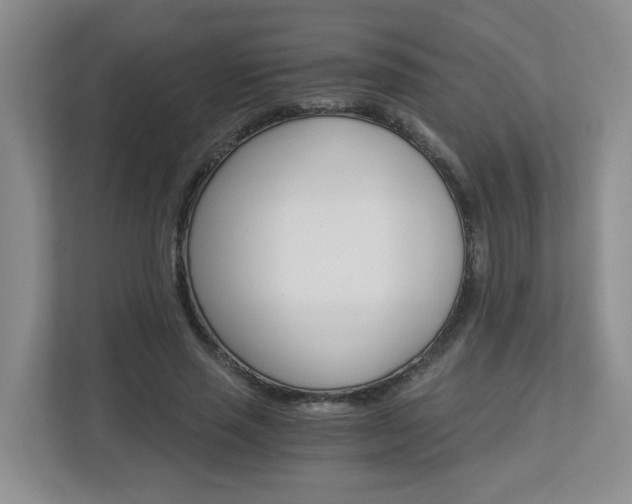 X0000112900637200908211051