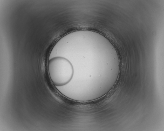 X0000112900638200908211051