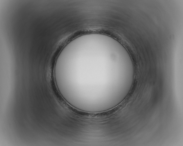 X0000112900640200908211051