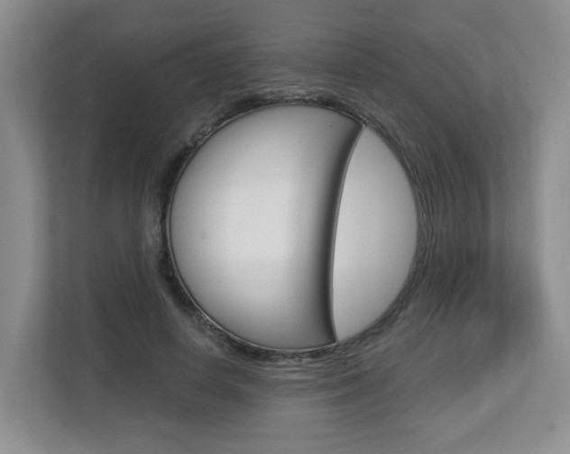 X0000112900642200908211051