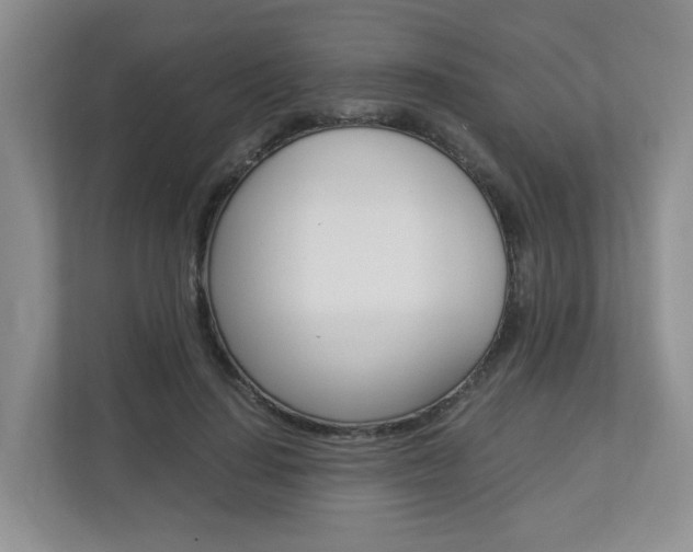 X0000112900644200908211051