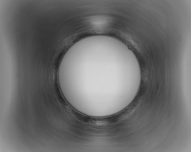 X0000112900645200908211051