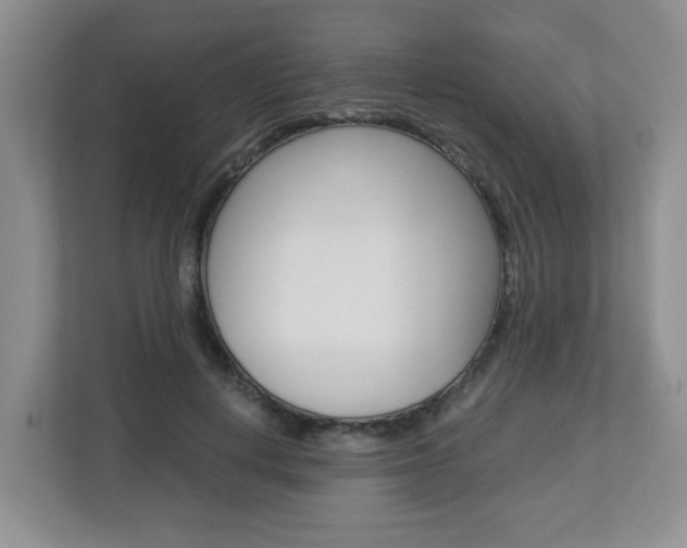 X0000112900648200908211051