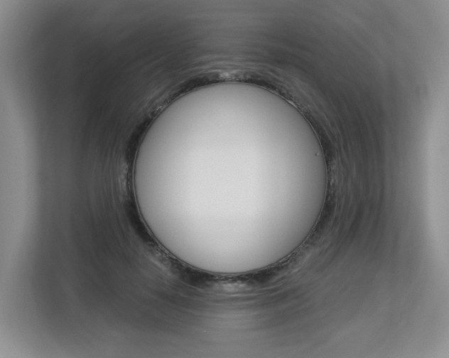 X0000112900650200908211051