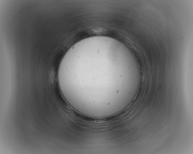 X0000112900651200908211051