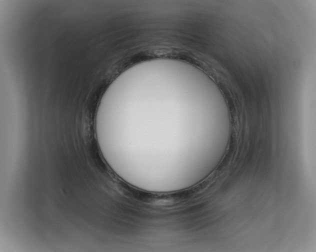 X0000112900653200908211051