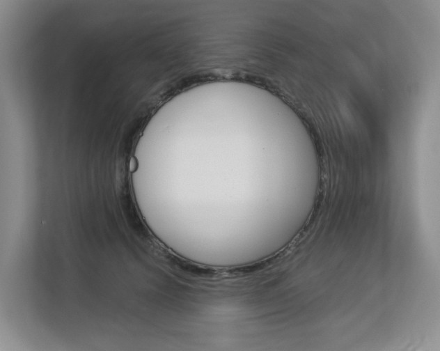 X0000112900656200908211051