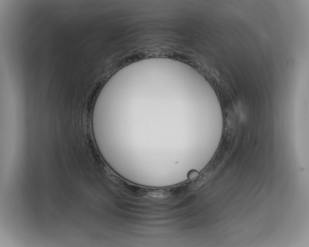 X0000112900659200908211051