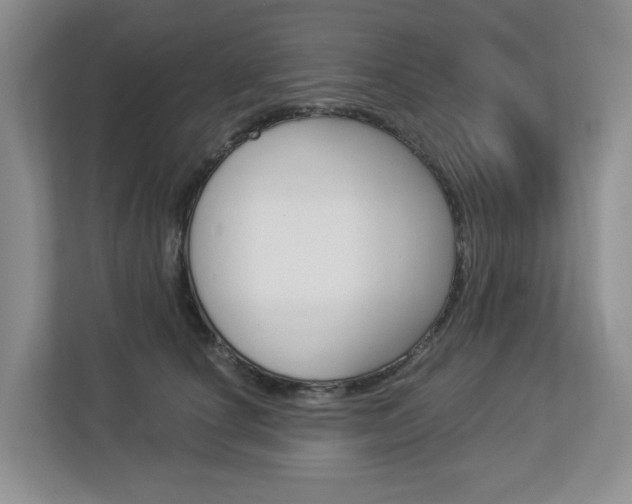 X0000112900660200908211051