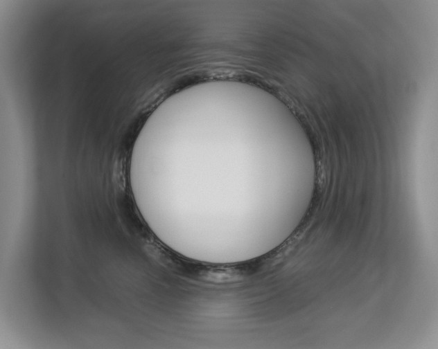X0000112900666200908211051