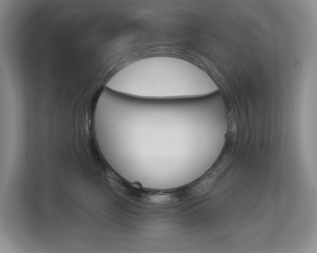 X0000112900669200908211051