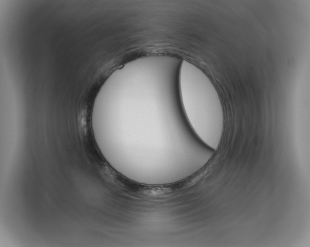 X0000112900670200908211051