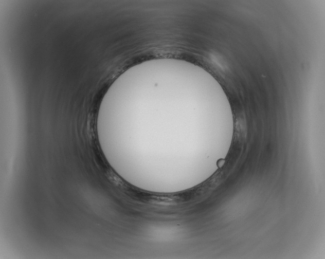 X0000112900671200908211051