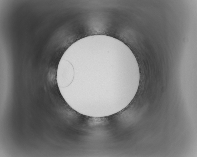 X0000112900672200908211051
