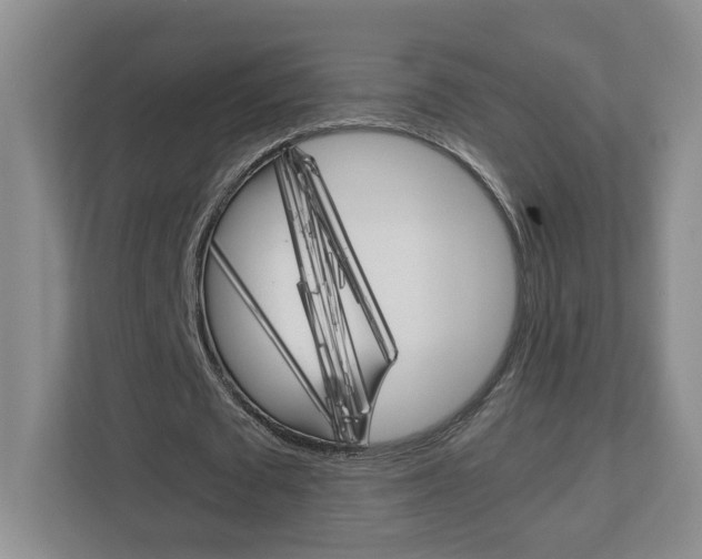 X0000112900673200908211051