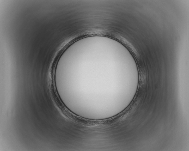 X0000112900674200908211051