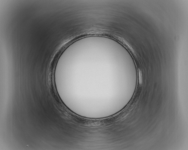 X0000112900675200908211051