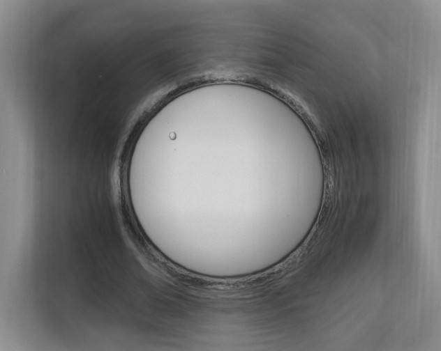 X0000112900678200908211051