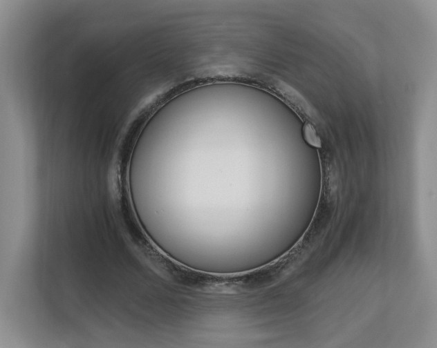 X0000112900680200908211051