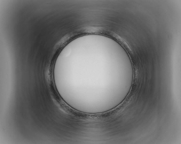 X0000112900682200908211051