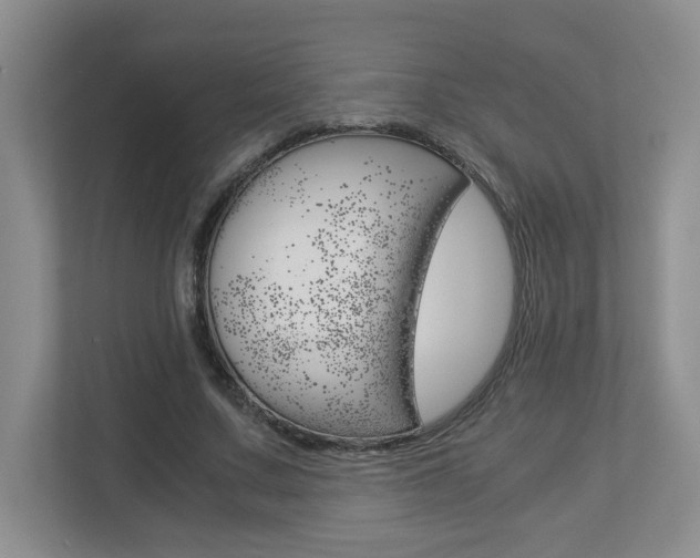 X0000112900683200908211051