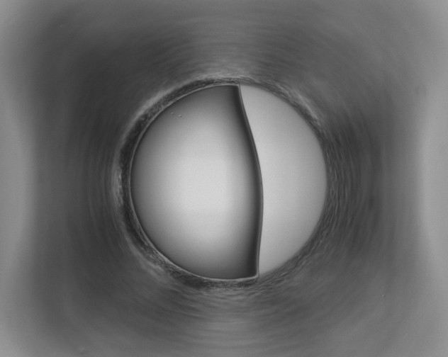 X0000112900684200908211051