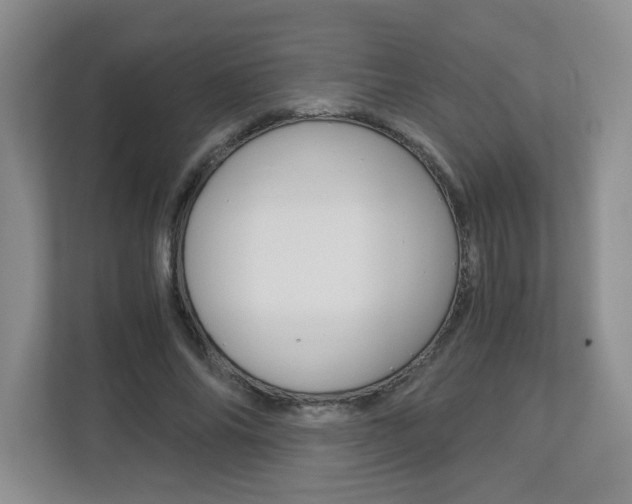 X0000112900686200908211051