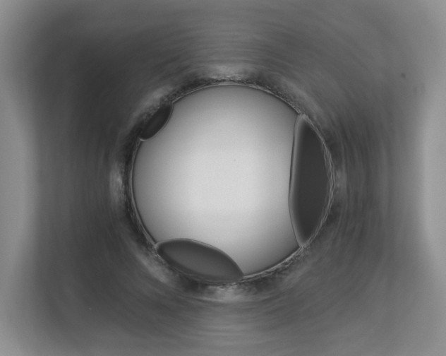X0000112900688200908211050