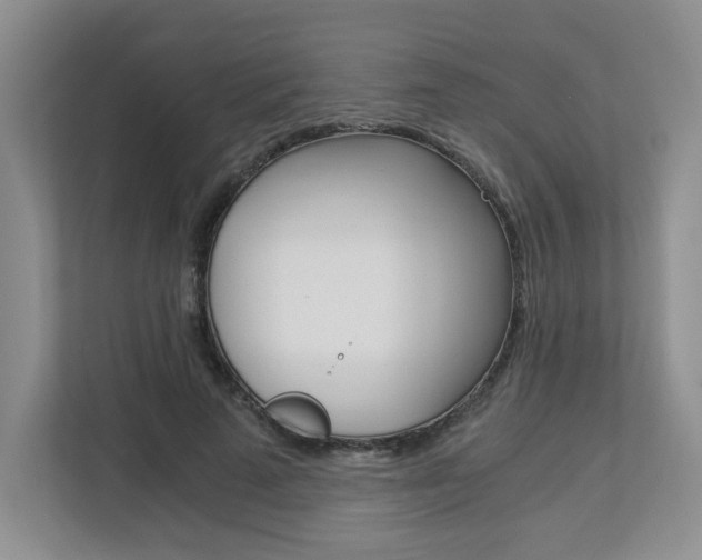 X0000112900689200908211050