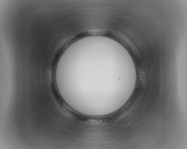 X0000112900690200908211050