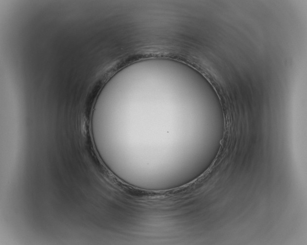 X0000112900692200908211050