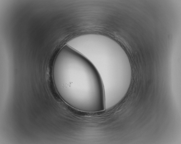 X0000112900693200908211050