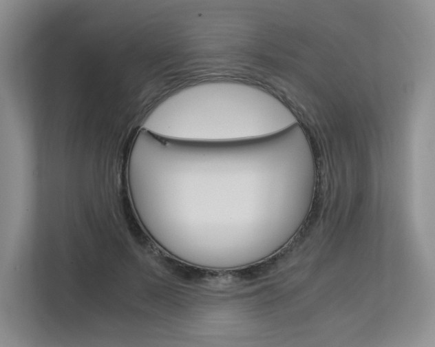 X0000112900695200908211050