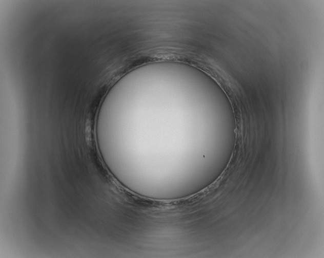 X0000112900696200908211050